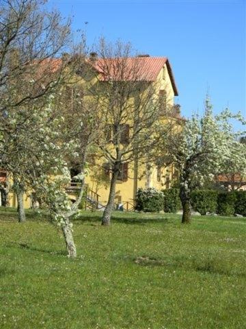 Sant'uberto