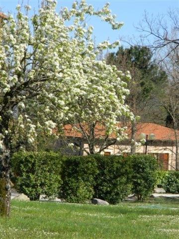 Sant'uberto Roccastrada
